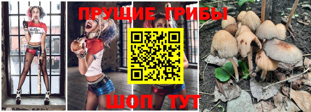 Галлюциногенные грибы прущие грибы  Вход с VPN  Лесной 
