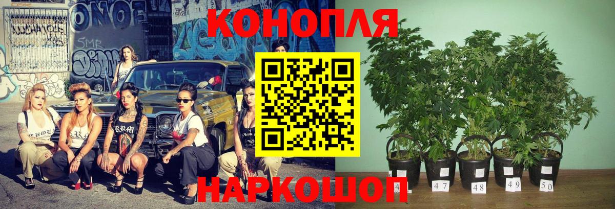 Лесной  Конопля LSD WEED  Вход с VPN  Марихуана Ganja 